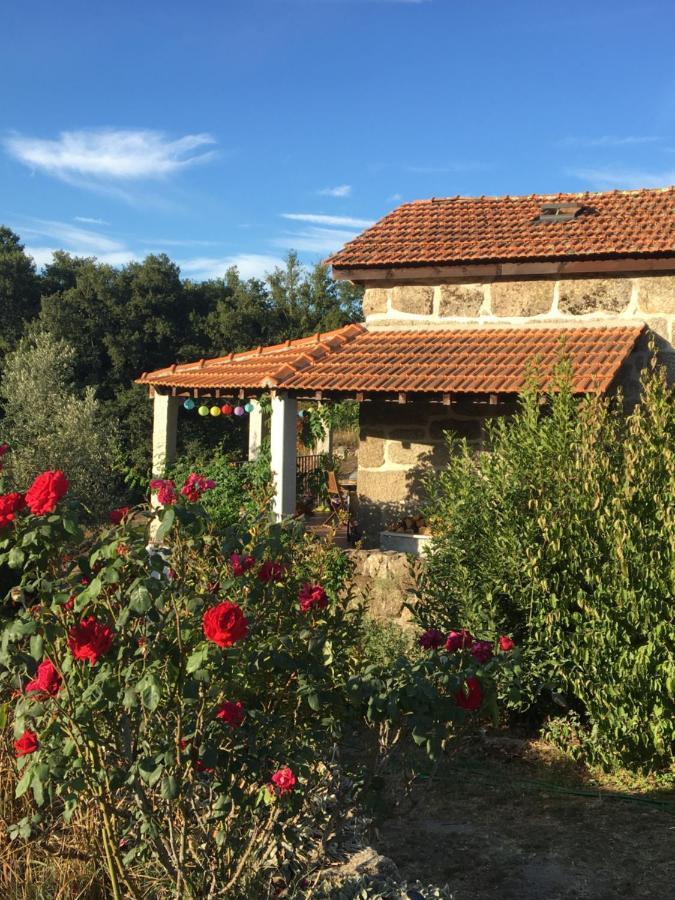 Quinta Do Cobral Villa Oliveira do Hospital Exterior photo